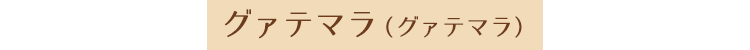 グァテマラ（グァテマラ）